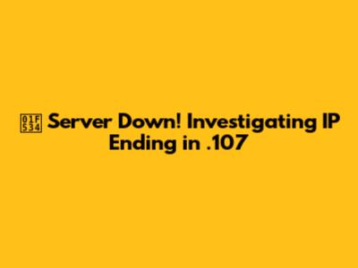 🔴 Server Down! Investigating IP Ending in .107