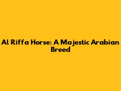 Al Riffa Horse: A Majestic Arabian Breed