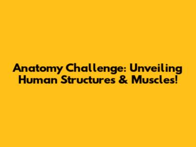 Anatomy Challenge: Unveiling Human Structures & Muscles!