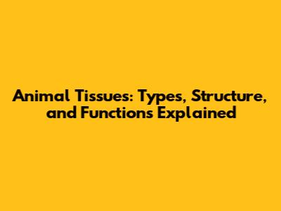Animal Tissues: Types, Structure, and Functions Explained