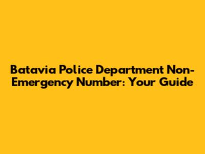 Batavia Police Department Non-Emergency Number: Your Guide