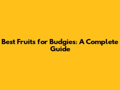 Best Fruits for Budgies: A Complete Guide