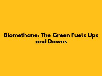 Biomethane: The Green Fuel's Ups and Downs