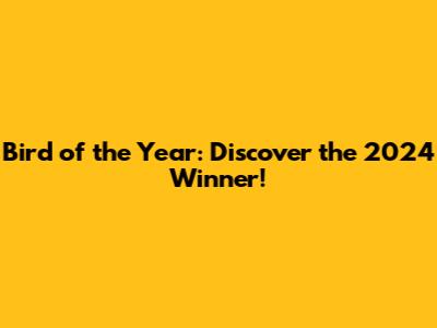 Bird of the Year: Discover the 2024 Winner!