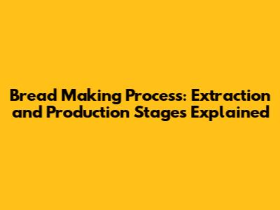 Bread Making Process: Extraction and Production Stages Explained