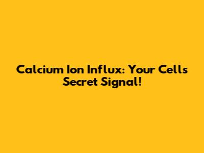 Calcium Ion Influx: Your Cell's Secret Signal!