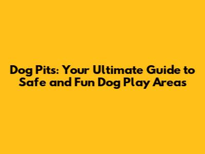 Dog Pits: Your Ultimate Guide to Safe and Fun Dog Play Areas