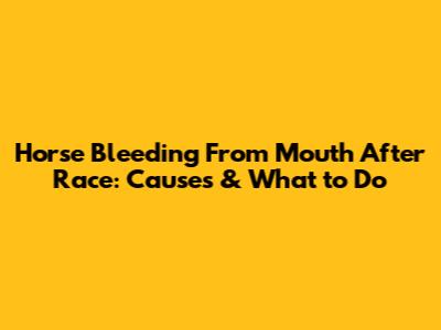 Horse Bleeding From Mouth After Race: Causes & What to Do