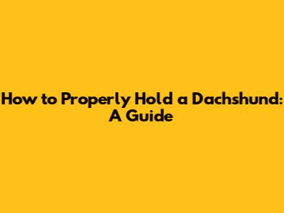 How to Properly Hold a Dachshund: A Guide