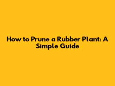 How to Prune a Rubber Plant: A Simple Guide