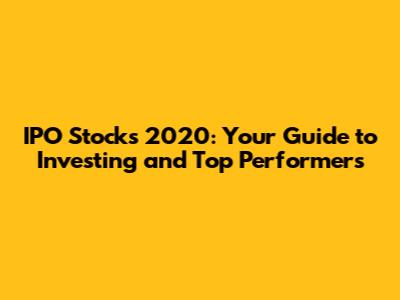IPO Stocks 2020: Your Guide to Investing and Top Performers