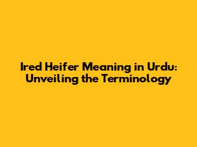 Ired Heifer Meaning in Urdu: Unveiling the Terminology