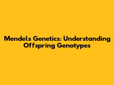 Mendel's Genetics: Understanding Offspring Genotypes