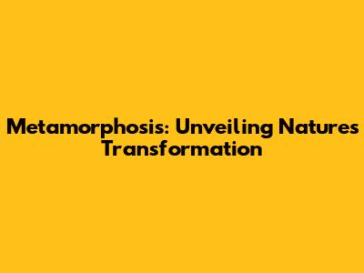 Metamorphosis: Unveiling Nature's Transformation
