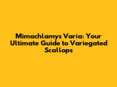 Mimachlamys Varia: Your Ultimate Guide to Variegated Scallops