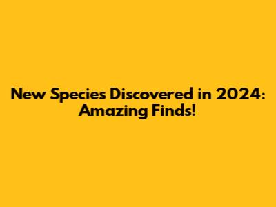 New Species Discovered in 2024: Amazing Finds!