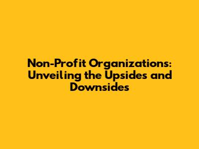 Non-Profit Organizations: Unveiling the Upsides and Downsides