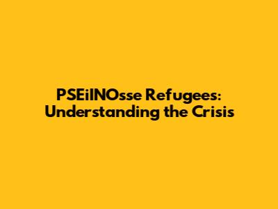 PSEiINOsse Refugees: Understanding the Crisis