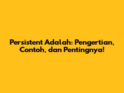 Persistent Adalah: Pengertian, Contoh, dan Pentingnya!