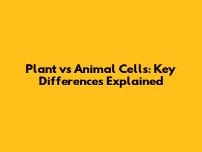 Plant vs Animal Cells: Key Differences Explained