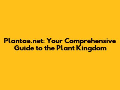 Plantae.net: Your Comprehensive Guide to the Plant Kingdom