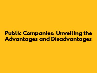Public Companies: Unveiling the Advantages and Disadvantages