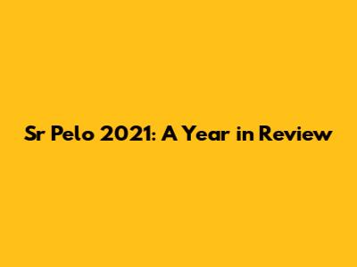 Sr Pelo 2021: A Year in Review