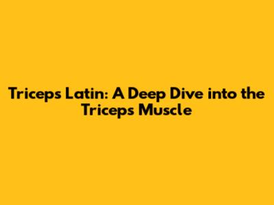 Triceps Latin: A Deep Dive into the Triceps Muscle