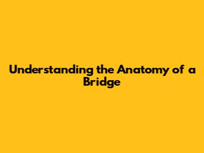 Understanding the Anatomy of a Bridge