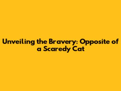 Unveiling the Bravery: Opposite of a Scaredy Cat
