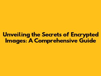 Unveiling the Secrets of Encrypted Images: A Comprehensive Guide
