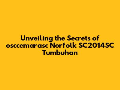 Unveiling the Secrets of osccemarasc Norfolk SC2014SC Tumbuhan