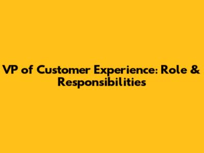 VP of Customer Experience: Role & Responsibilities