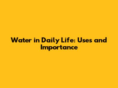 Water in Daily Life: Uses and Importance