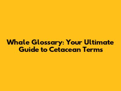 Whale Glossary: Your Ultimate Guide to Cetacean Terms