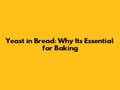Yeast in Bread: Why It's Essential for Baking
